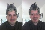 The cat as a hat