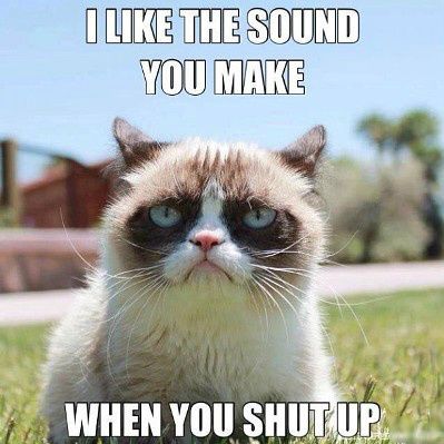 Grumpy Cat