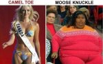 Camel Toe Vs. Moose Knuckle