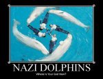 Nazi dolphins
