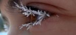 Frosty Lashes