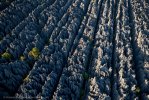 The stone forest (Tsingy de Bemaraha), Madagascar
