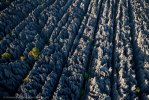 The stone forest (Tsingy de Bemaraha), Madagascar