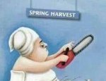 Harvest Time