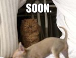 Get Out of Here